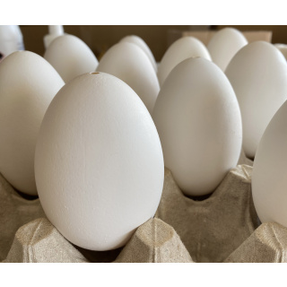 Fújt libatojás héj 10 db húsvéti tojás díszítéshez