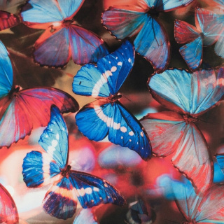 Anyag viszkóz twill világoskék sima pillangó minta 0,5m