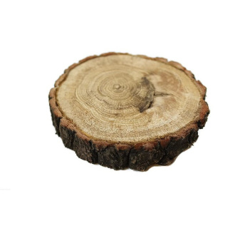 Faháncs tölgycsík csiszolt 7-10 cm 2 cm