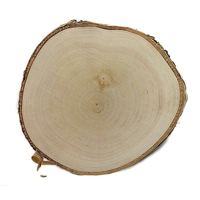 Fenyőfa nyírfa csiszolt szelet 10-12cm 1cm megamix.sk