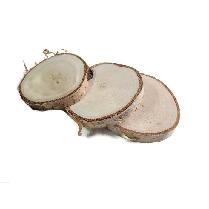 Fasírozott fa nyírfa lap 6-8 cm 1 cm megamix.sk