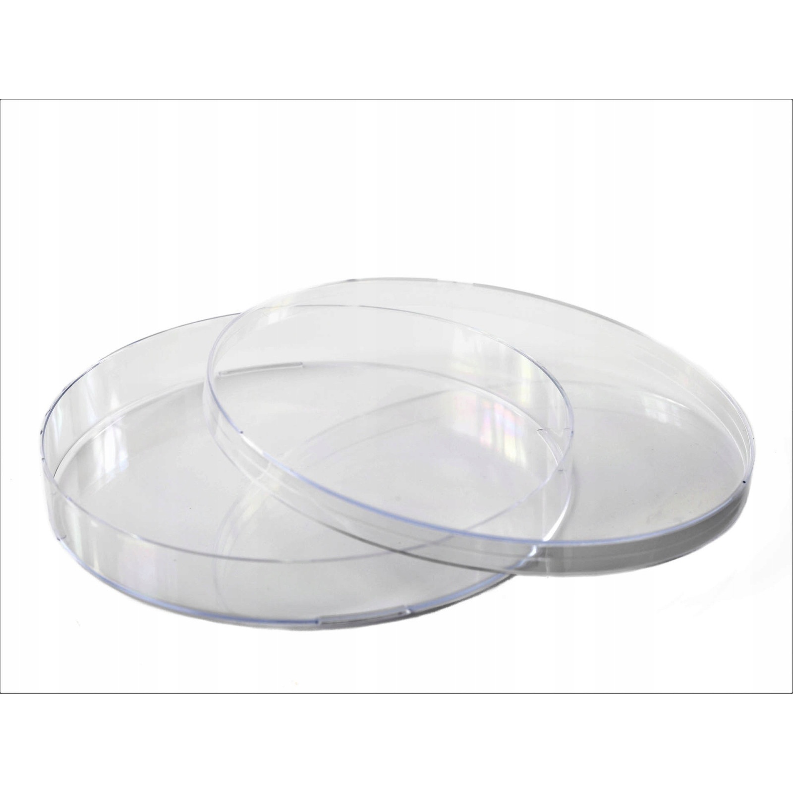 petri csésze PS 140x20mm 10db megamix.sk